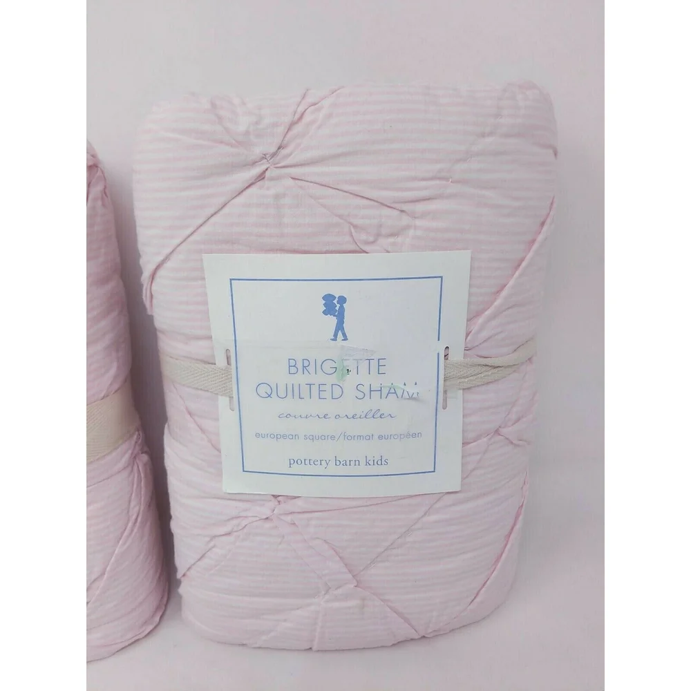 Pottery Barn Kids Brigette‎ Ruffle Quilted Shams Pair 2 European Square 26